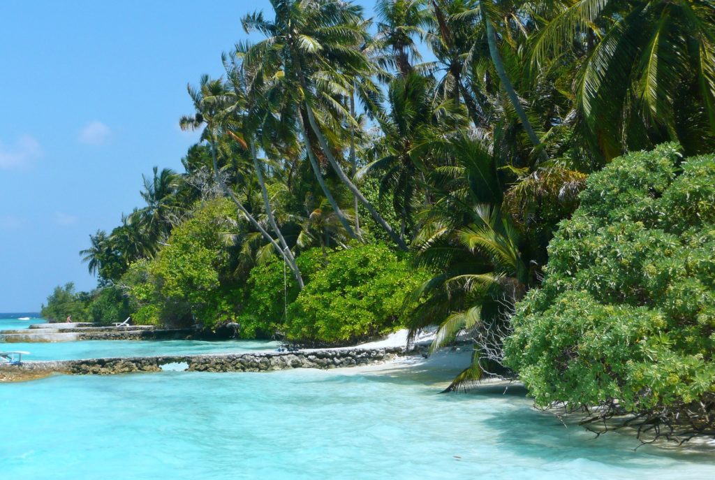 Tropical Fiji
